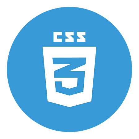 KaSoft - Giải pháp chuyển đổi số - CSS